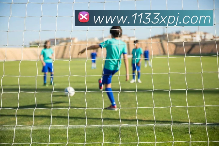 新葡京官网平台生态图