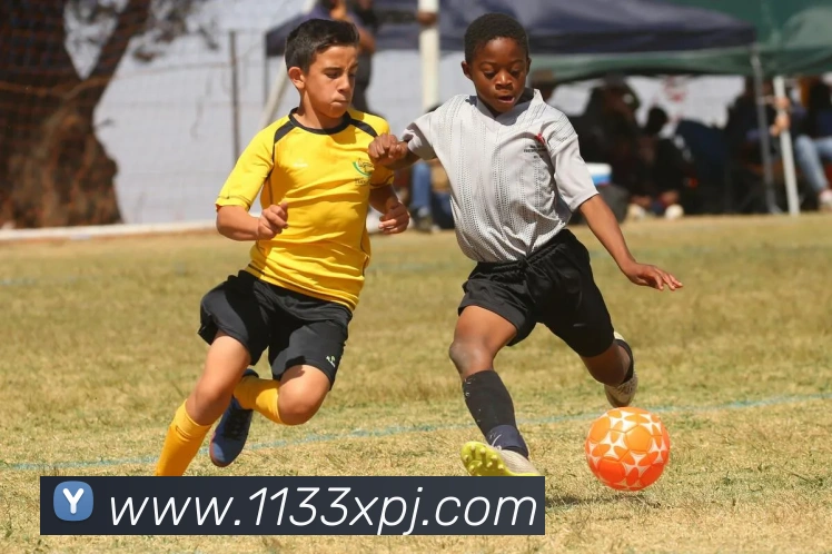 数据防护可视化